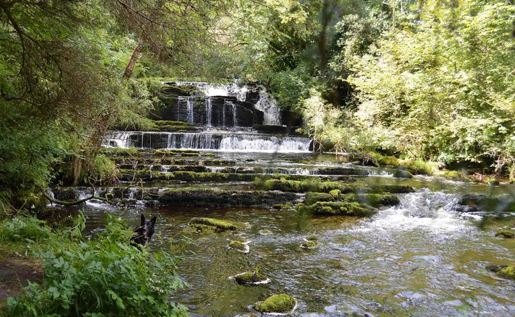 Fowleys Falls Leitrim