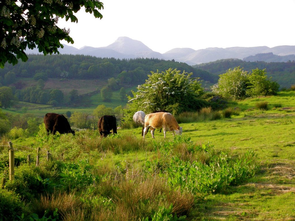 domahair leitrim