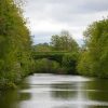 exploring-river-shannon