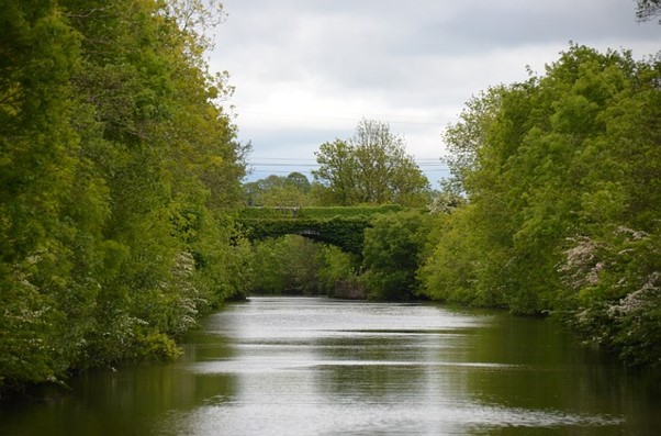 exploring-river-shannon